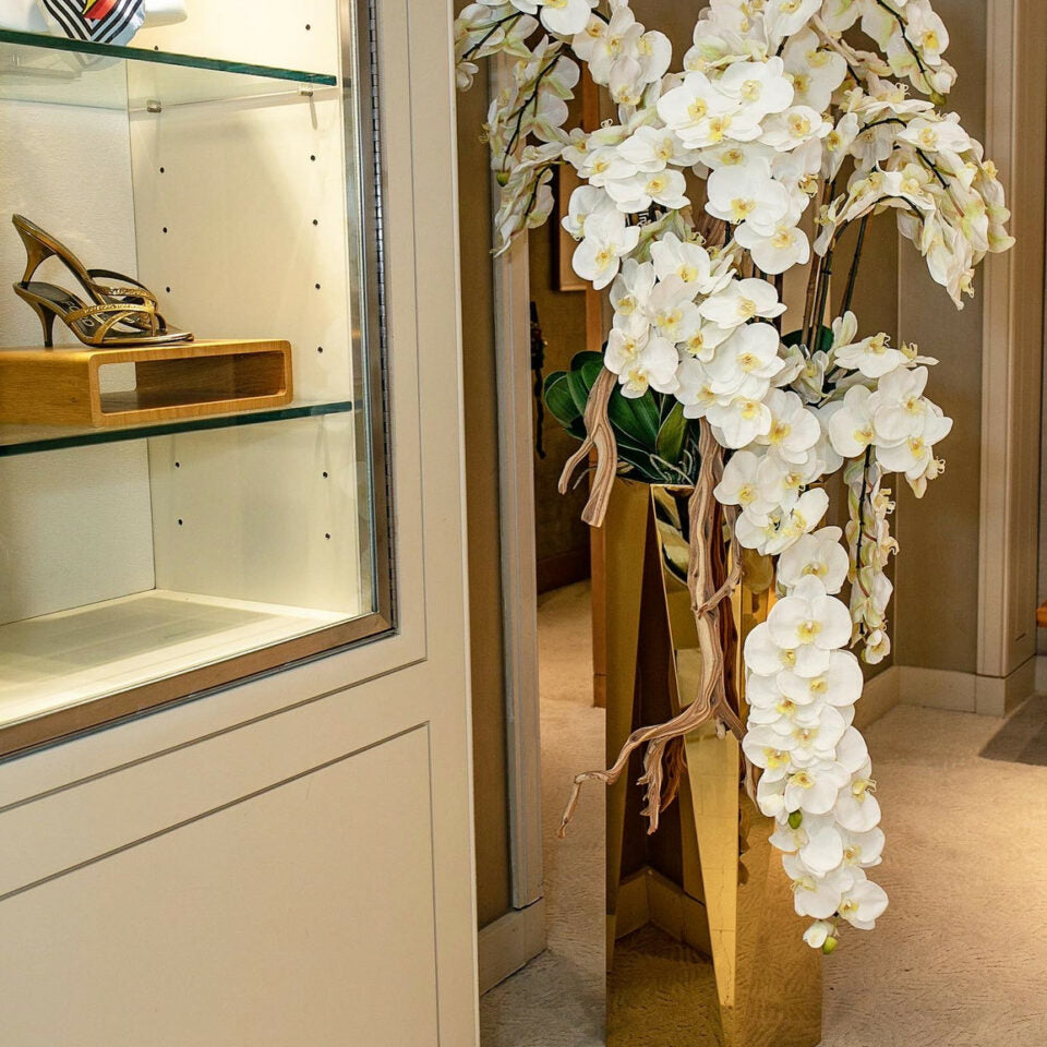 Orchidées Phalaenopsis en cascade dans un pot à prisme doré