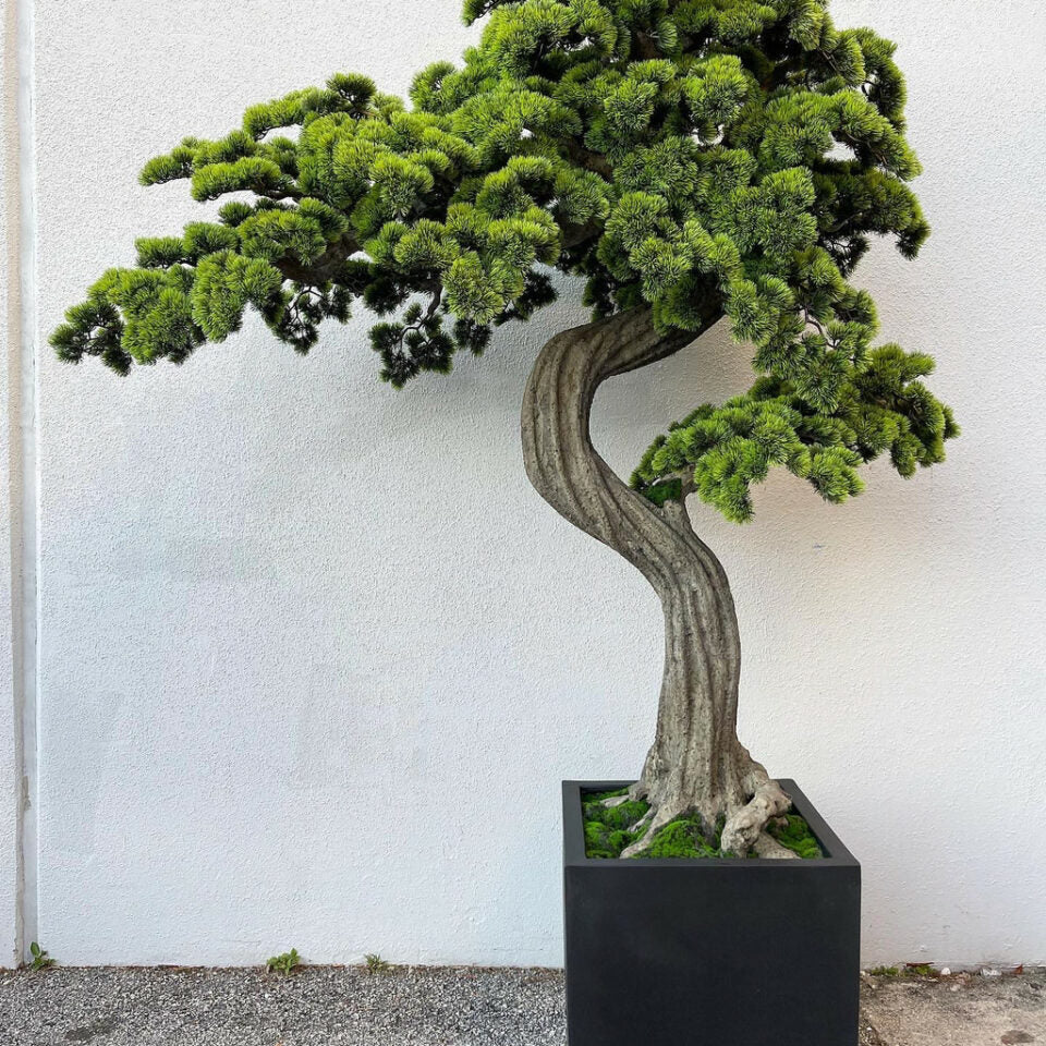 Bloque de árbol bonsái grande M