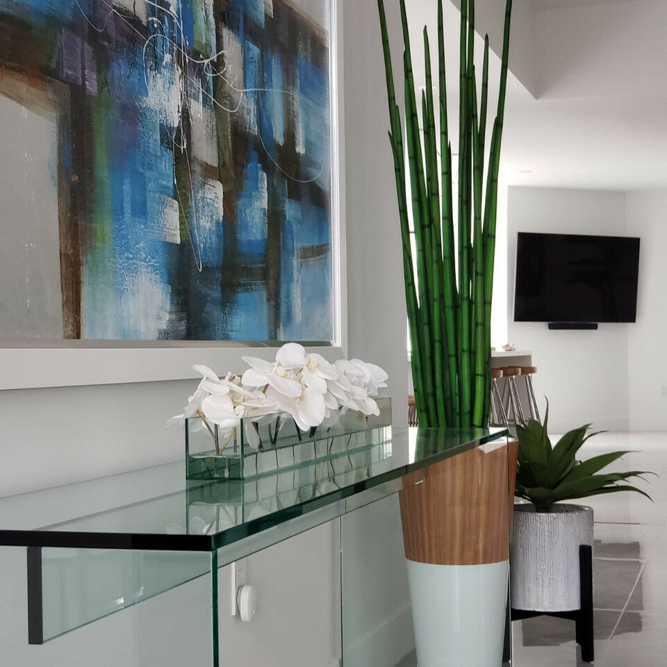 Hierba serpiente (160 cm) con maceta Lux blanca