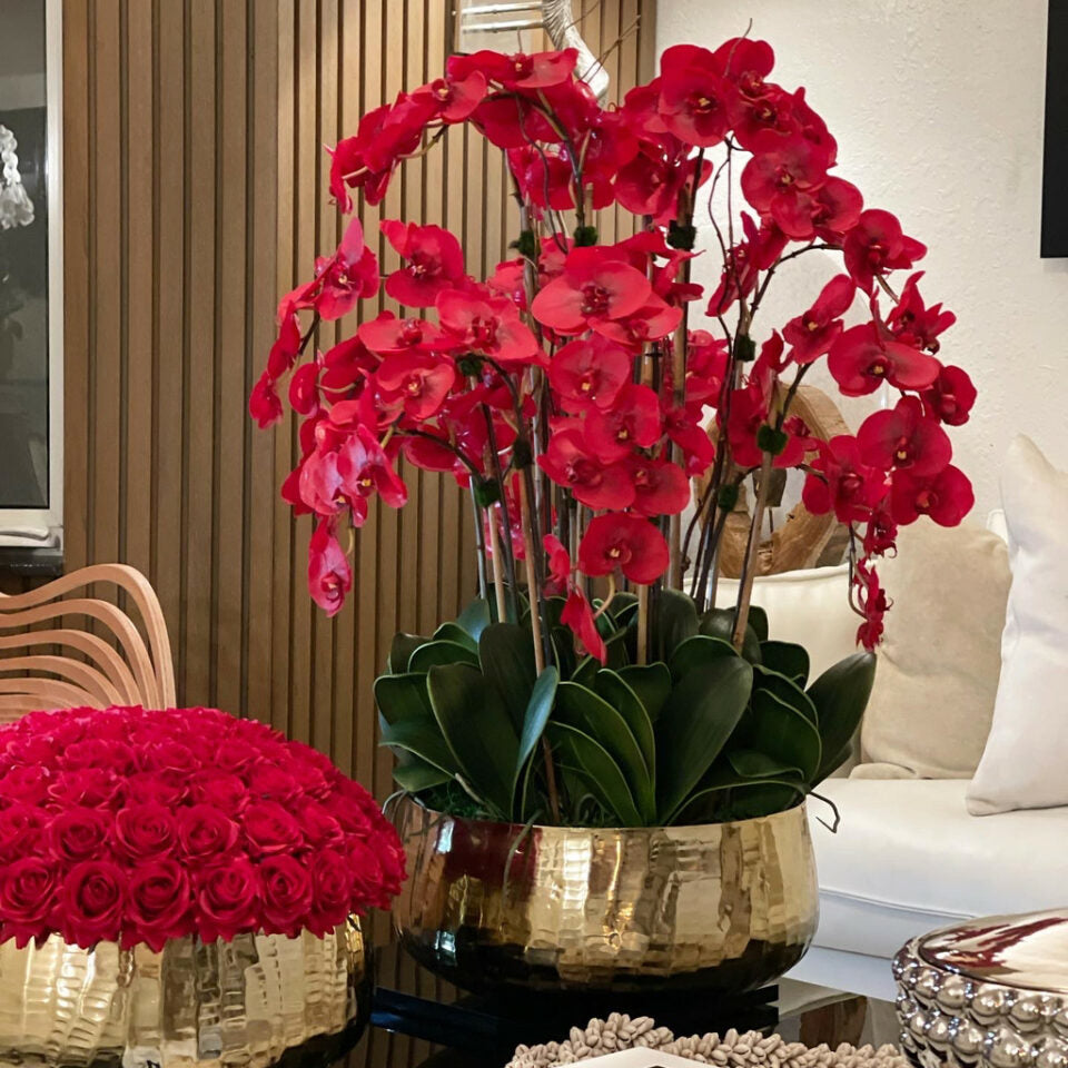 Orchidées Phalaenopsis vermillon dans un verre doré moyen