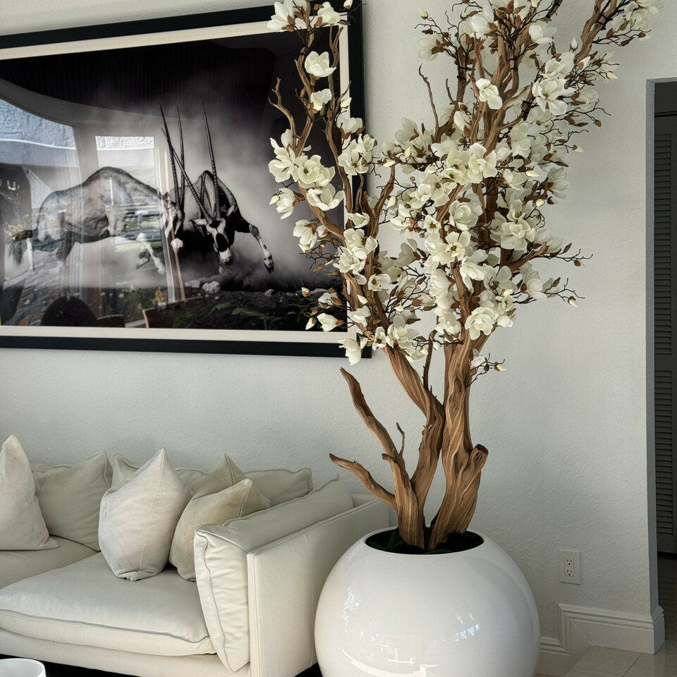 Árbol de magnolia blanca en maceta esférica blanca brillante de 76 cm