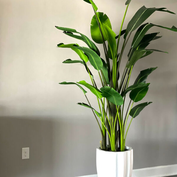 Jardinera Alicante en blanco brillante con ave del paraíso de 2,7 m