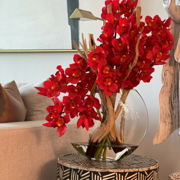 Cymbidiums rojos en maceta lunar
