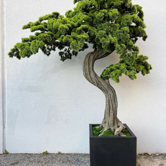 Bloque de árbol bonsái grande M