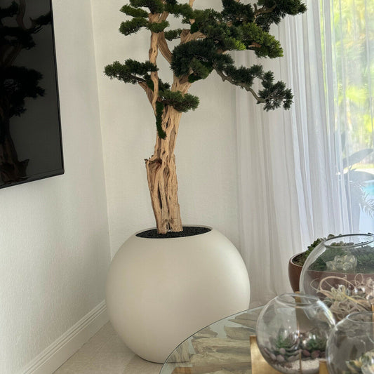 Árbol bonsái pisado en globo beige satinado de 30"