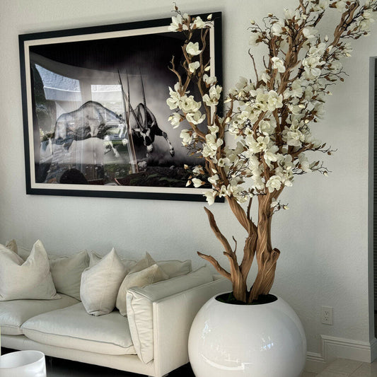 Árbol de magnolia blanca en maceta esférica blanca brillante de 76 cm