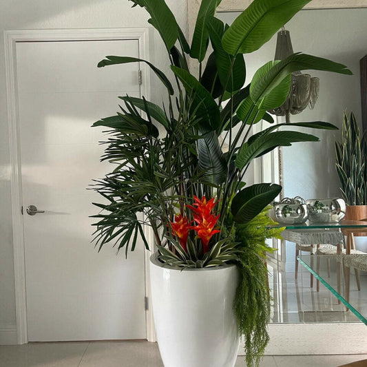 Mezcla de plantas tropicales Brannan de color blanco brillante