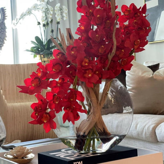 Cymbidiums rojos en maceta lunar