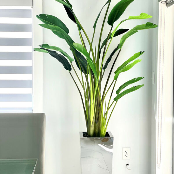 Seau en verre moyen en acier inoxydable avec oiseau de paradis (7′)