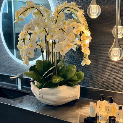 Orchidées Phalaenopsis blanches dans une sculpture ouverte en verre